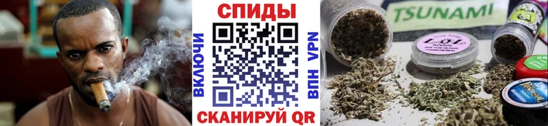 Бутират BDO  Старица 