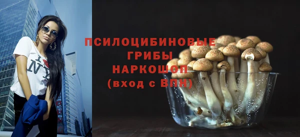 mix Богородск