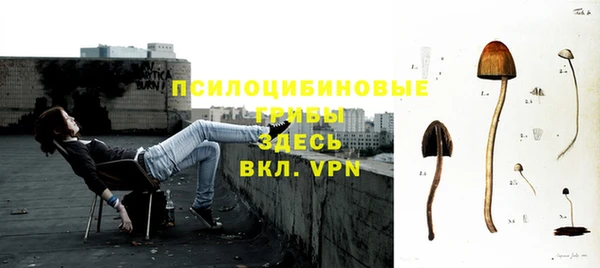 прущая мука Бородино