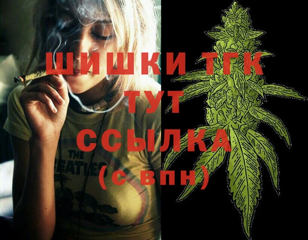 mdpv Тавда